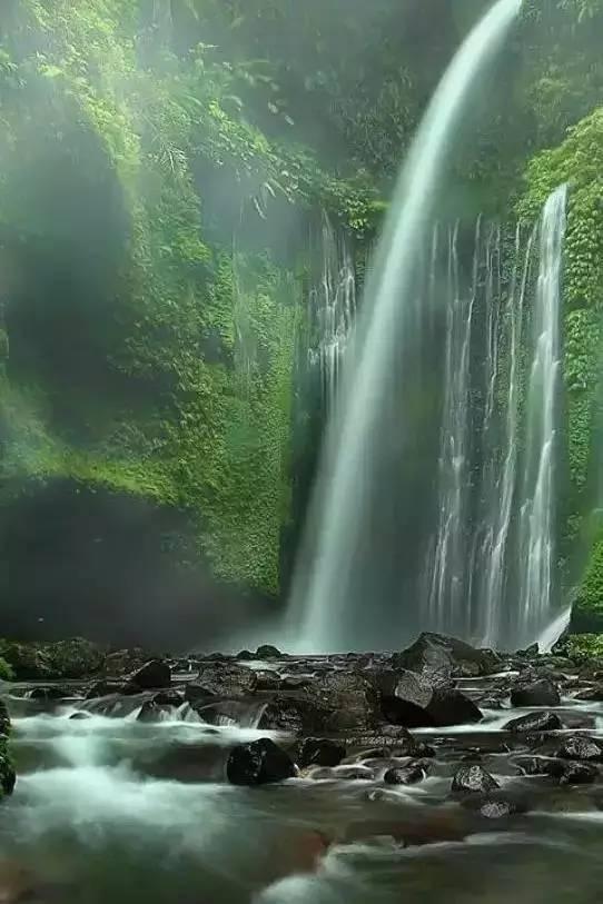 红树林逃生